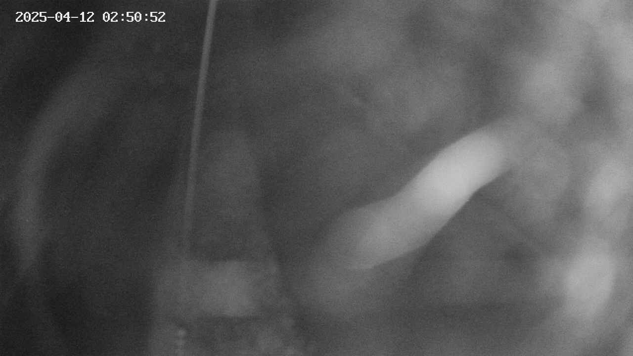 area11-20250412025053.jpg