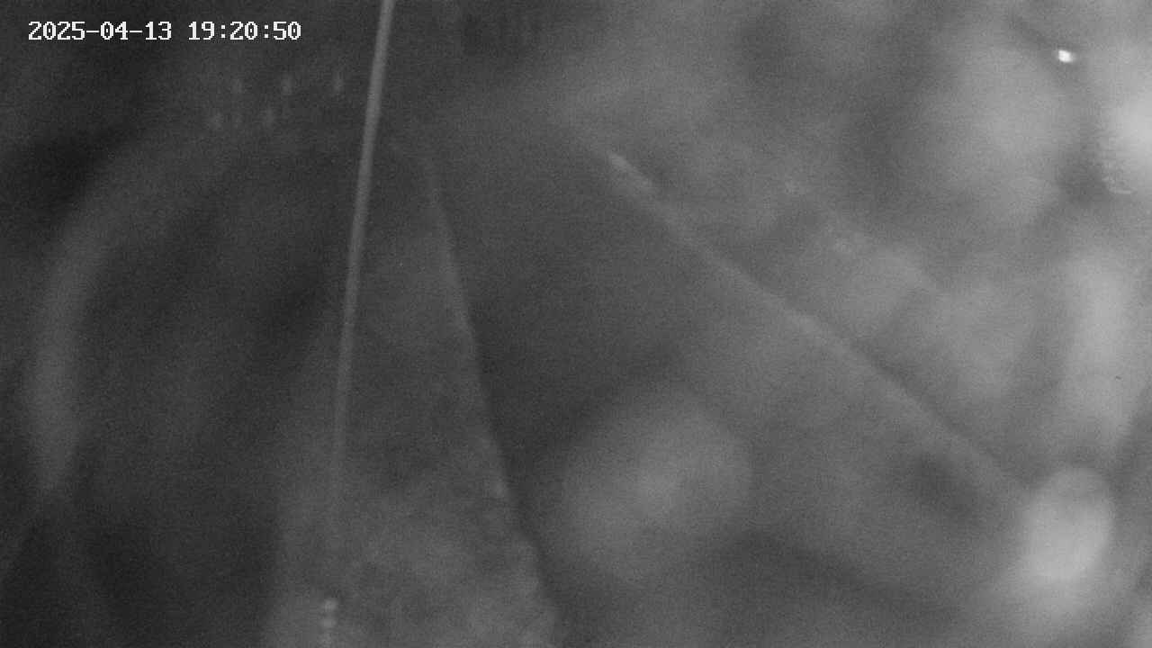 area11-20250413192052.jpg