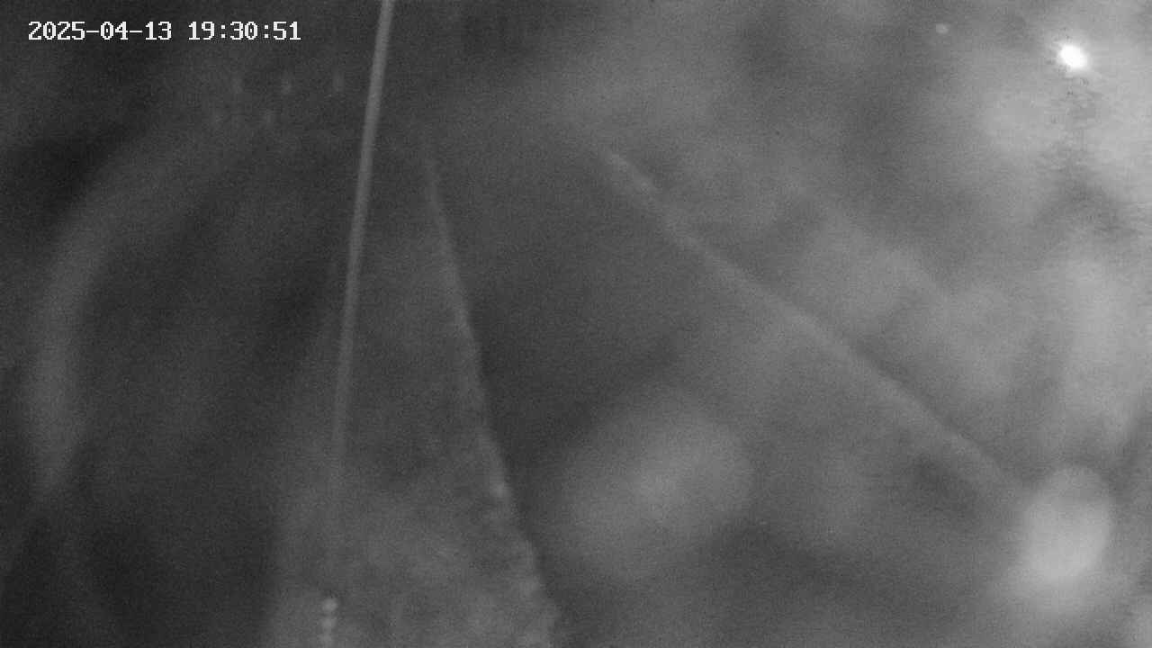 area11-20250413193052.jpg