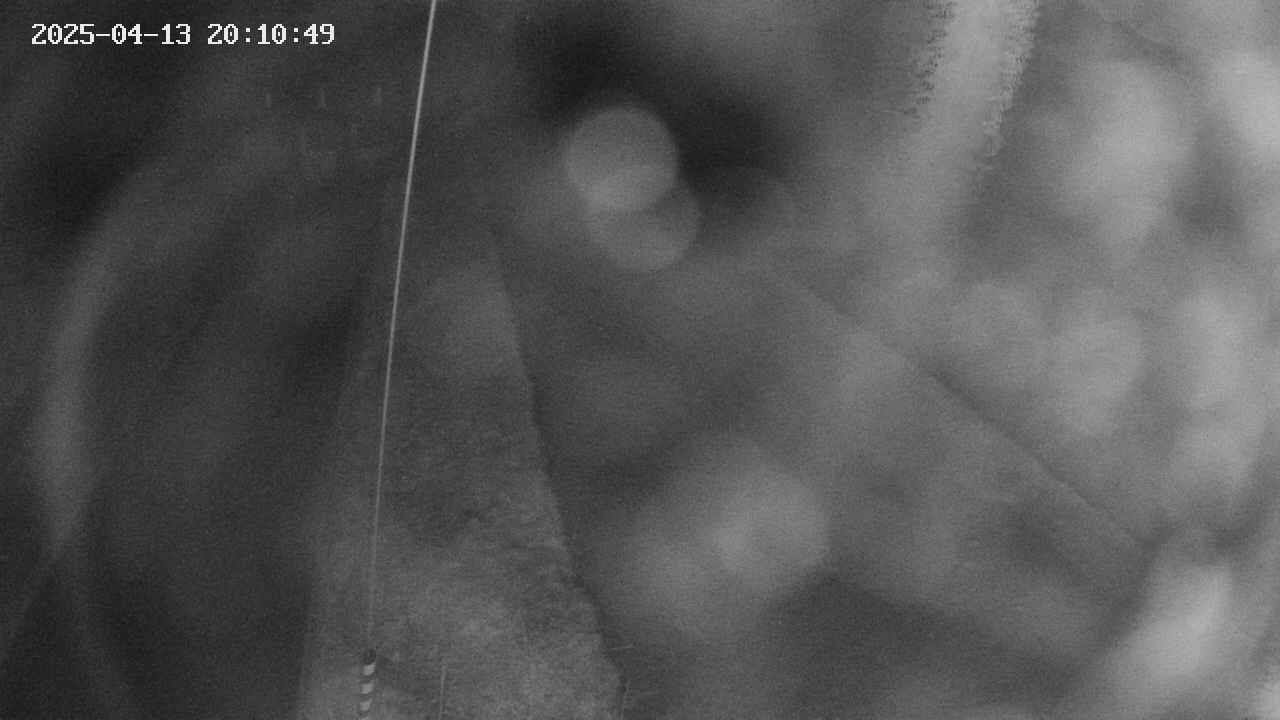 area11-20250413201051.jpg