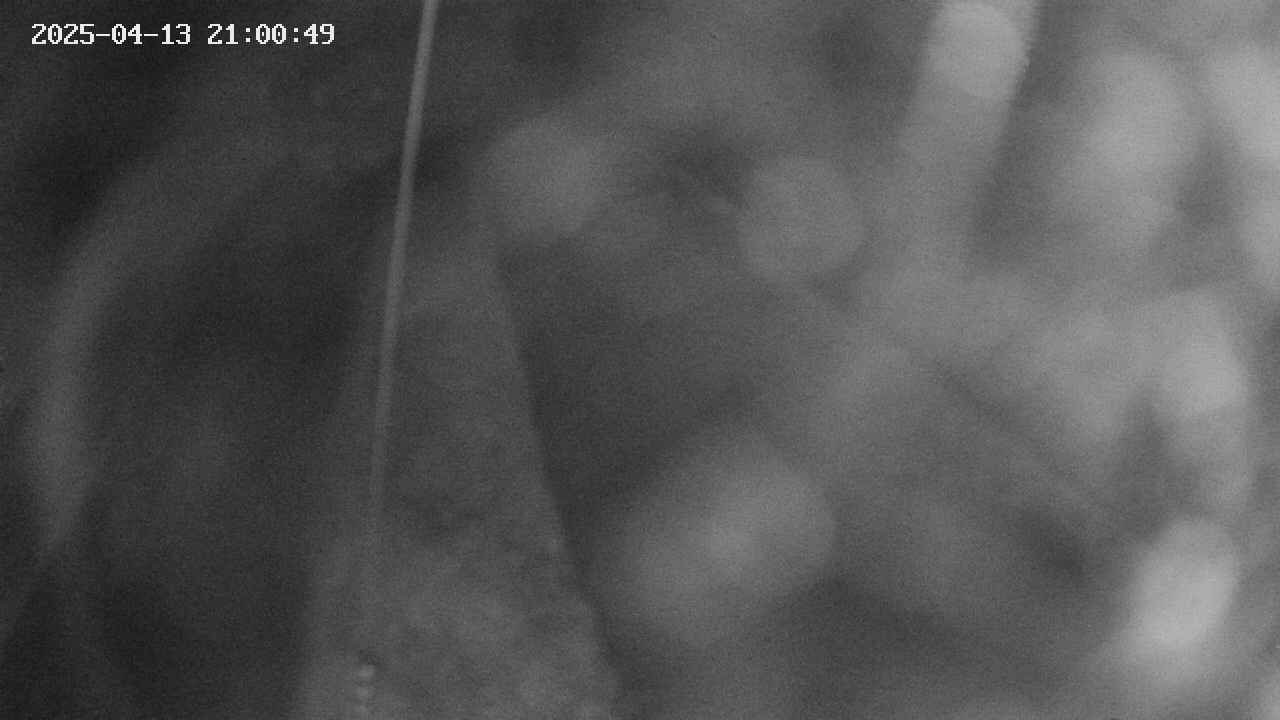 area11-20250413210051.jpg
