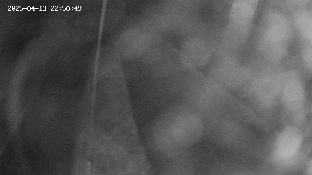 area11-20250413225051.jpg