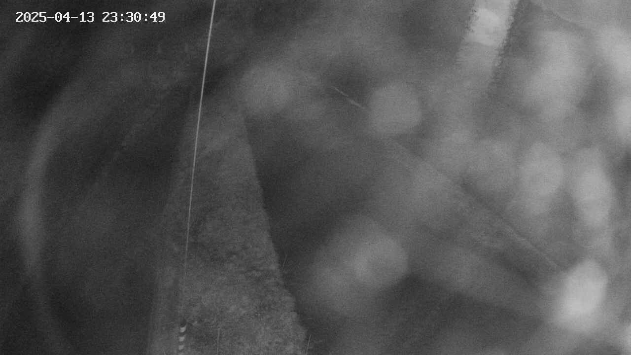 area11-20250413233051.jpg