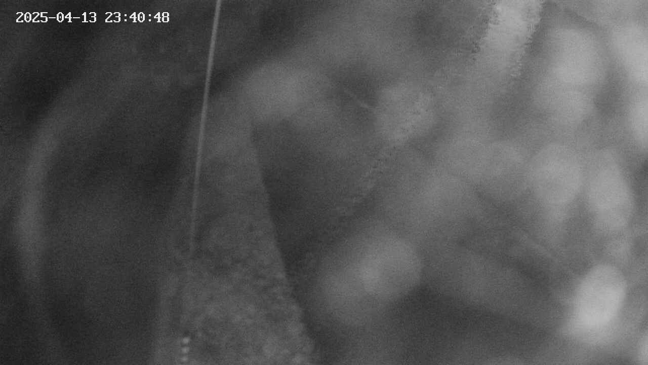 area11-20250413234050.jpg