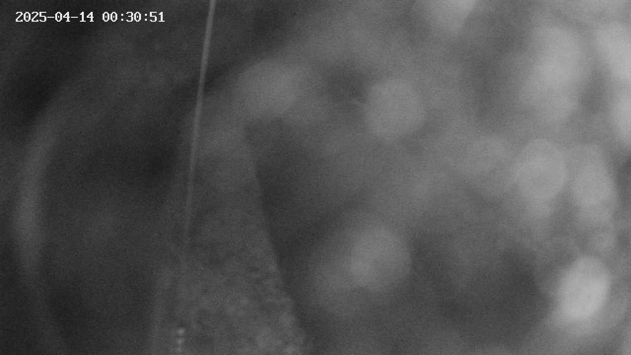 area11-20250414003053.jpg