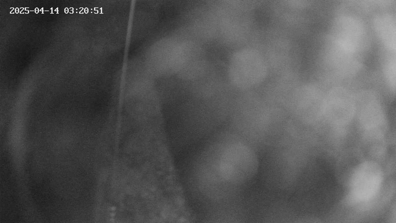 area11-20250414032051.jpg