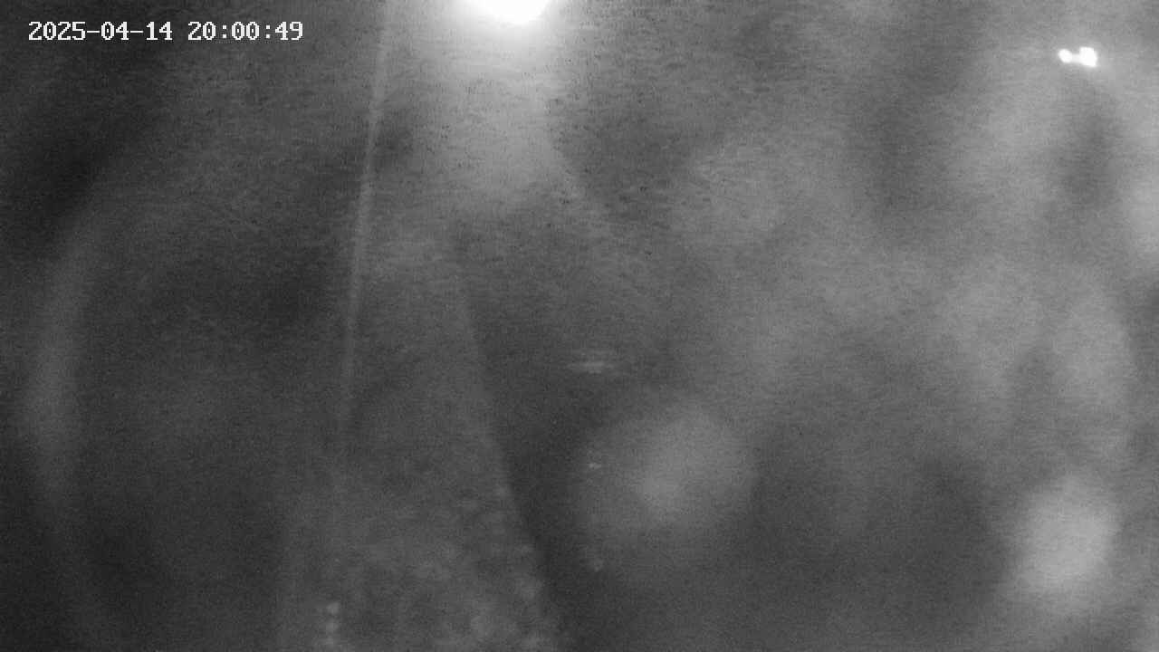 area11-20250414200050.jpg