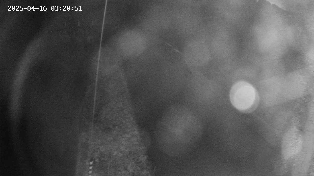 area11-20250416032051.jpg