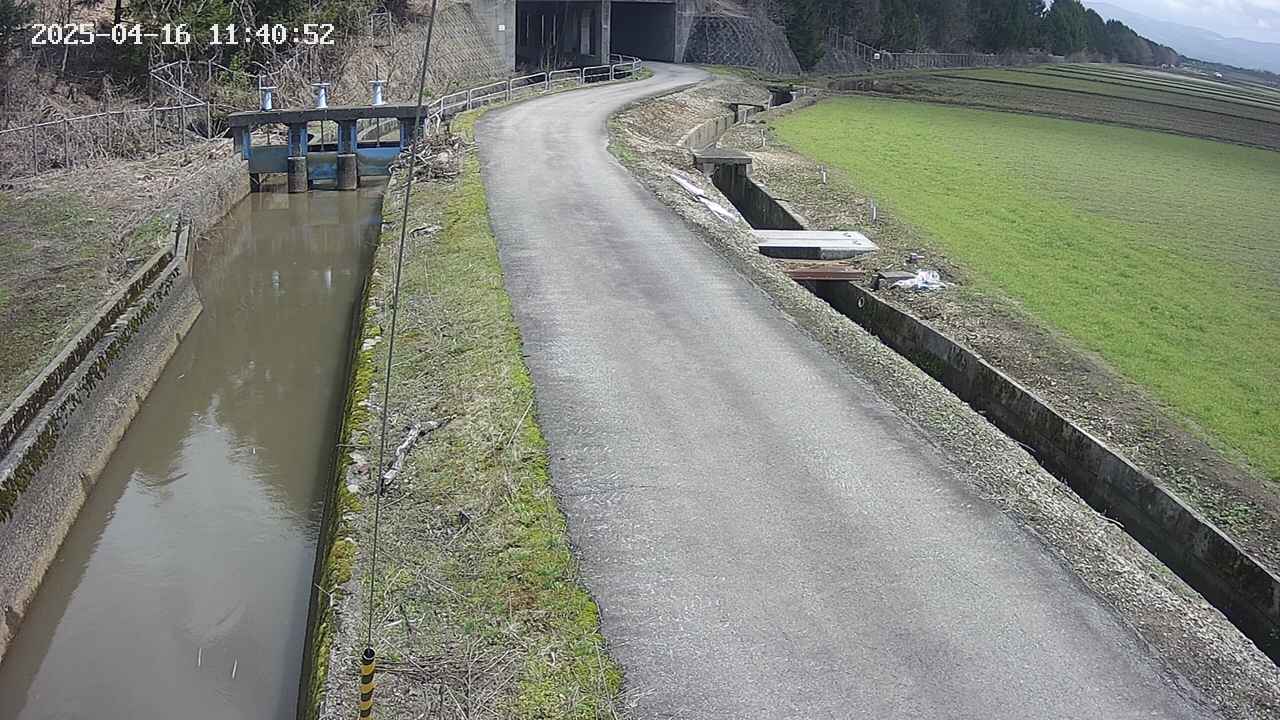 area11-20250416114053.jpg