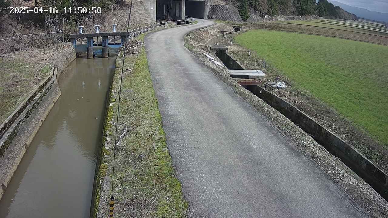 area11-20250416115051.jpg
