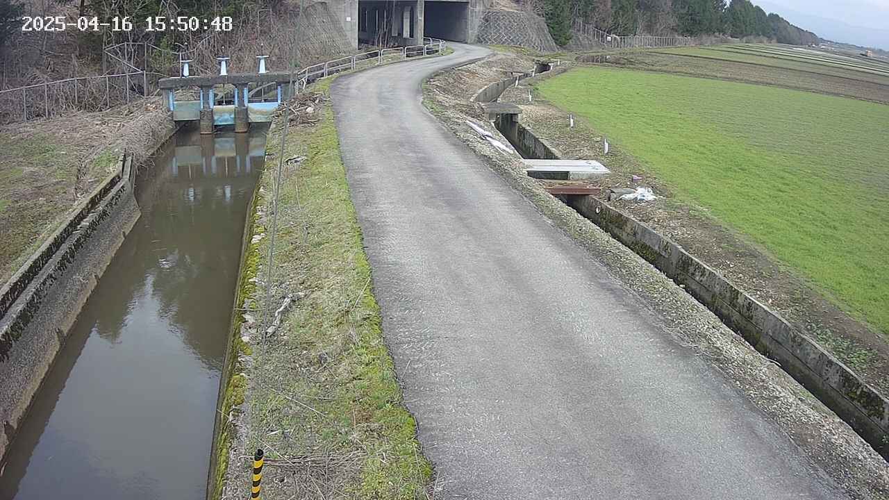area11-20250416155049.jpg
