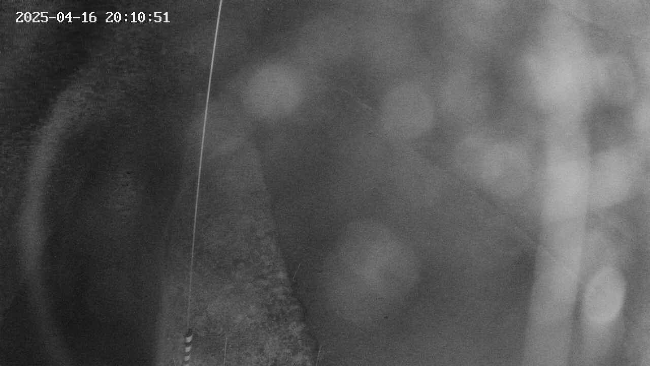 area11-20250416201052.jpg