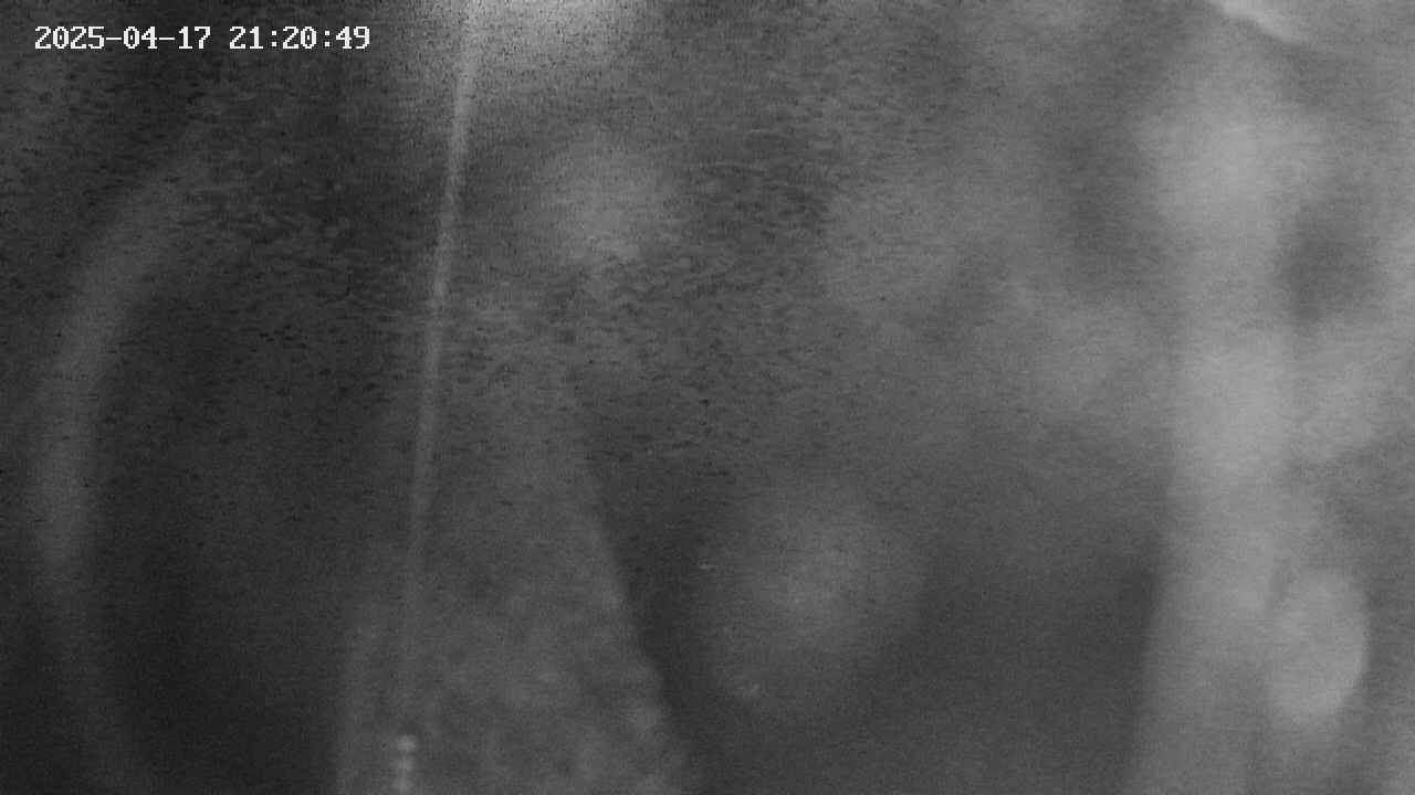 area11-20250417212050.jpg