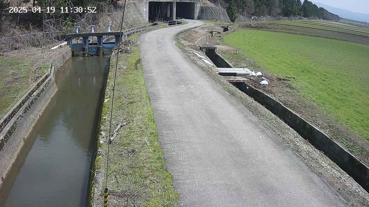 area11-20250419113053.jpg