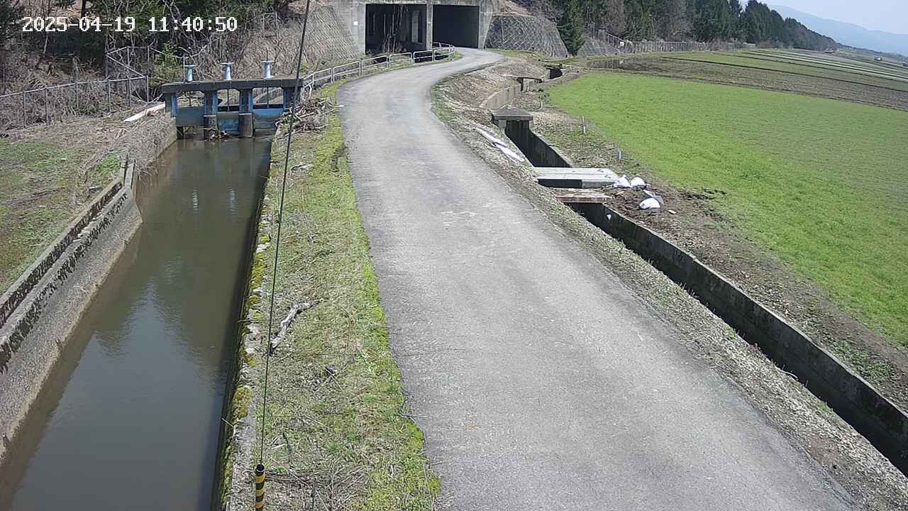 area11-20250419114051.jpg