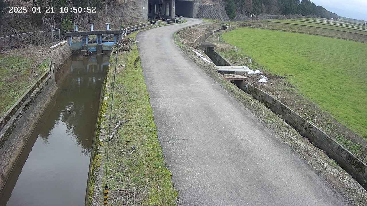 area11-20250421105053.jpg
