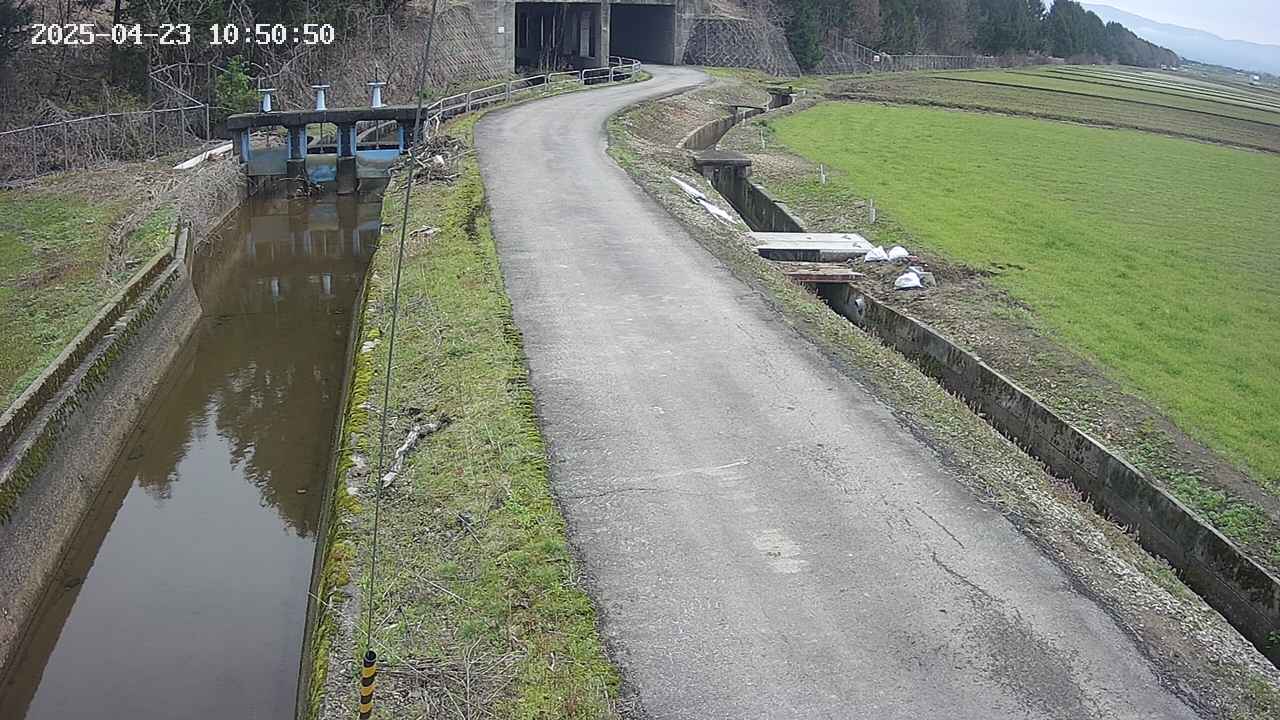 area11-20250423105051.jpg