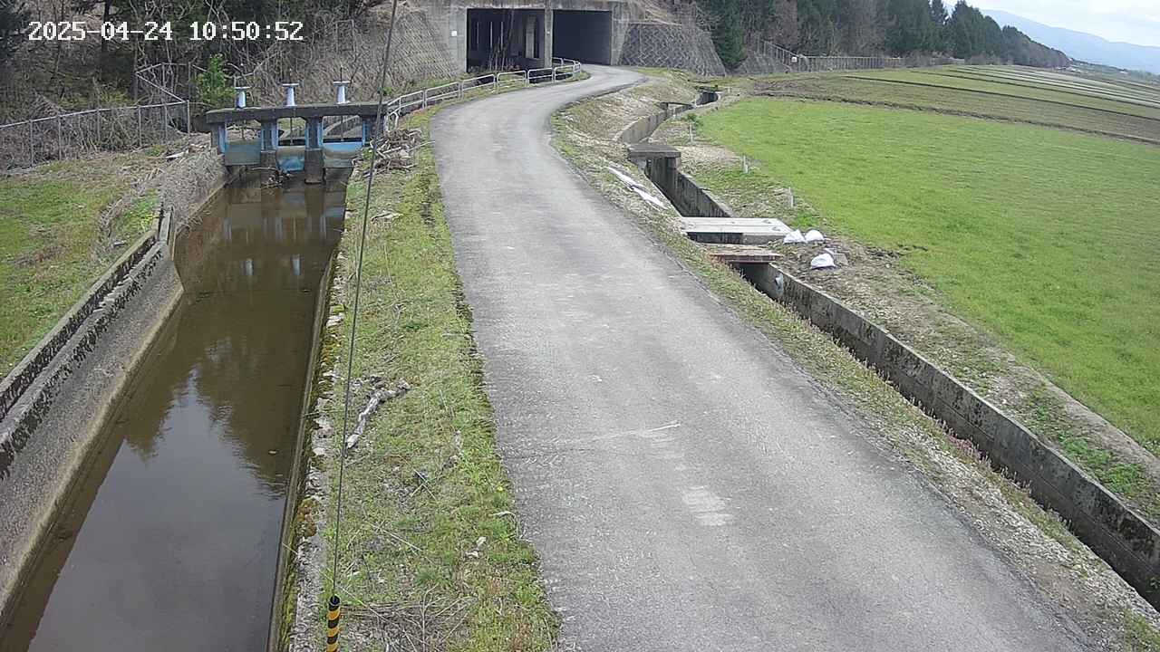 area11-20250424105053.jpg