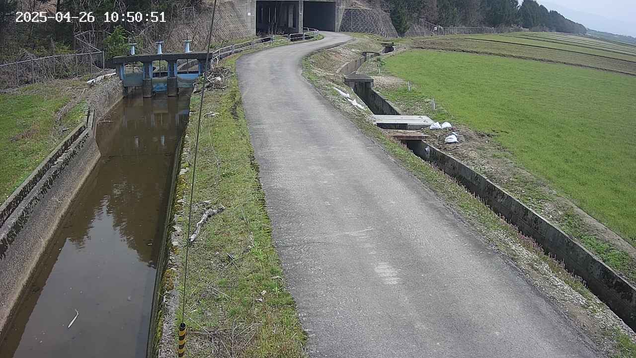 area11-20250426105052.jpg