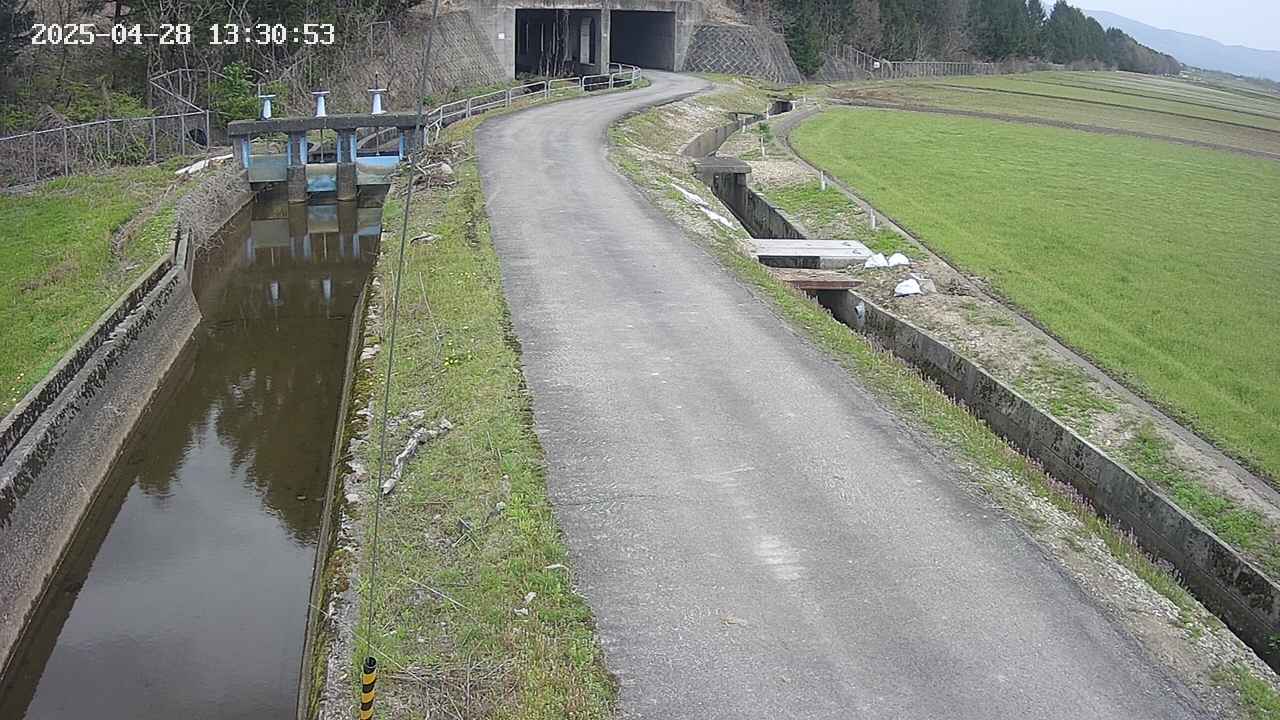 area11-20250428133054.jpg