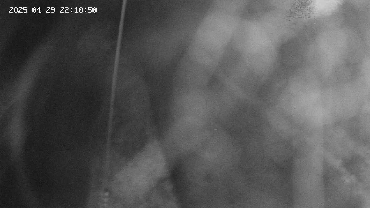 area11-20250429221051.jpg