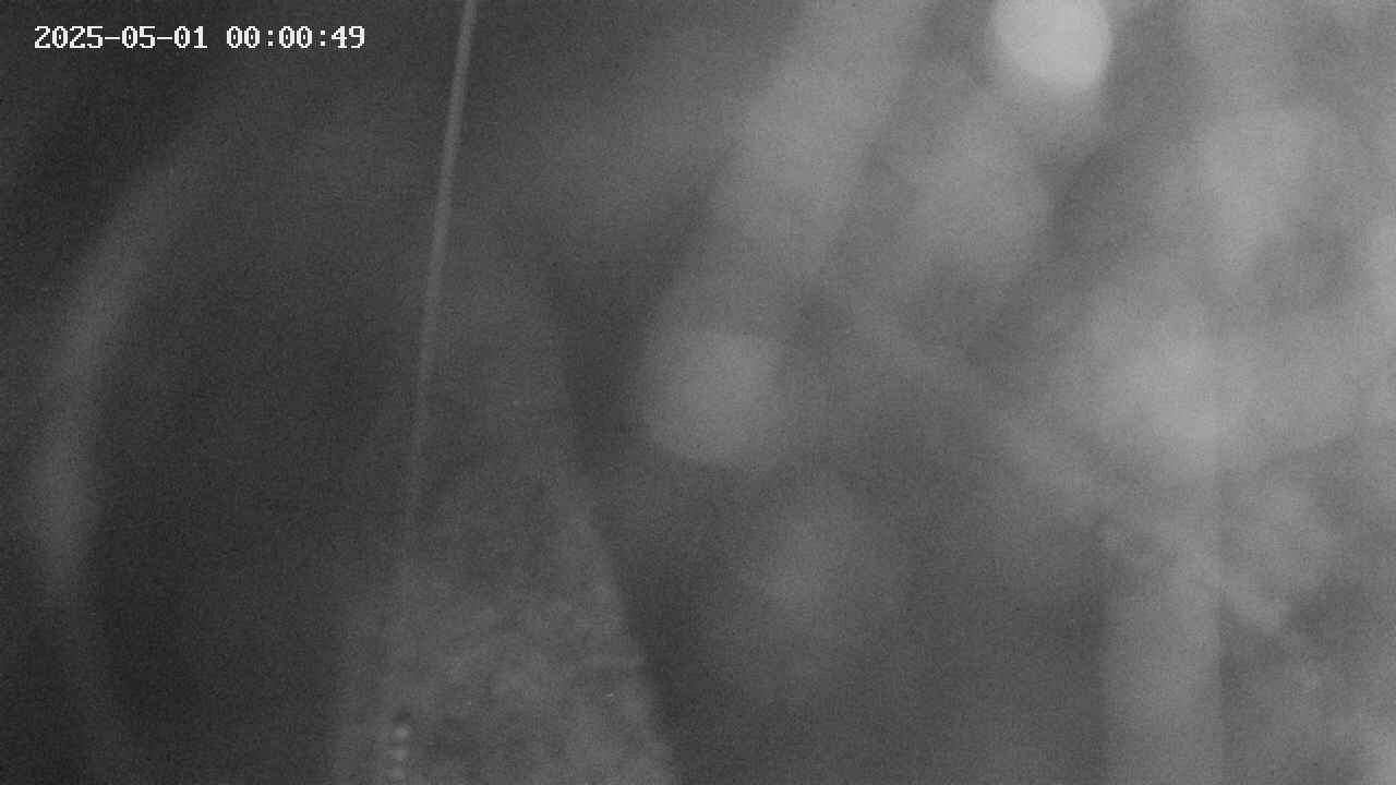area11-20250501000049.jpg