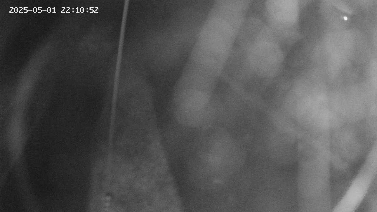 area11-20250501221053.jpg