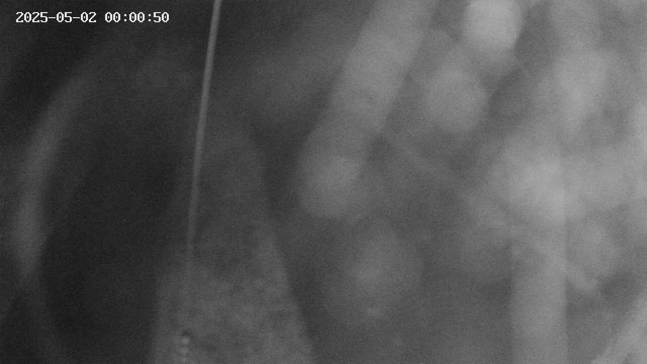area11-20250502000051.jpg