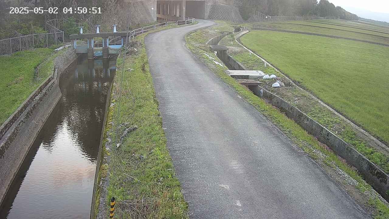 area11-20250502045052.jpg