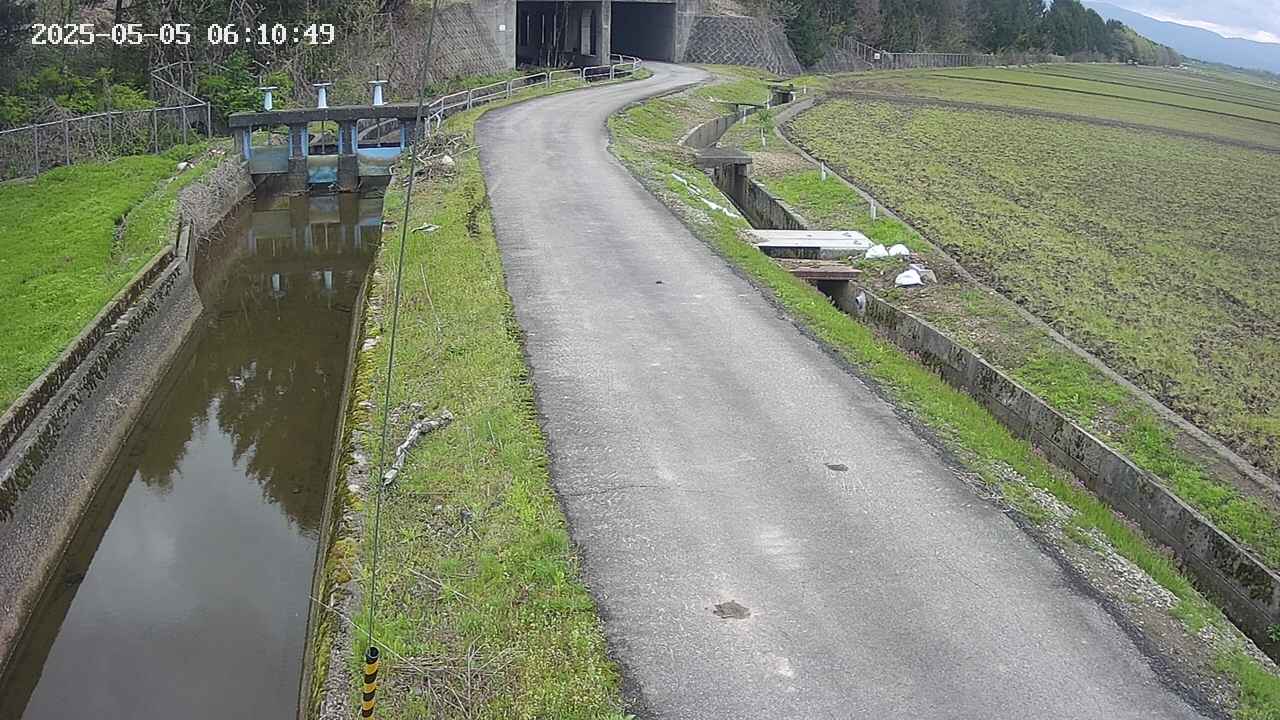 area11-20250505061050.jpg