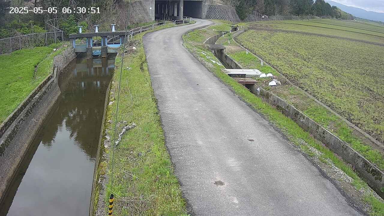 area11-20250505063052.jpg