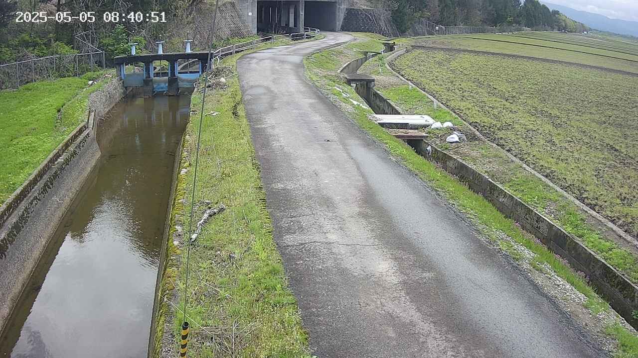 area11-20250505084052.jpg