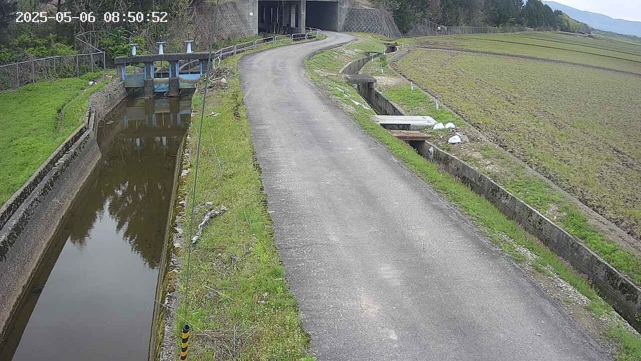 area11-20250506085052.jpg