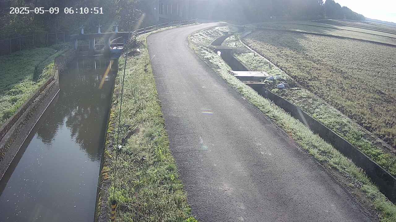 area11-20250509061052.jpg