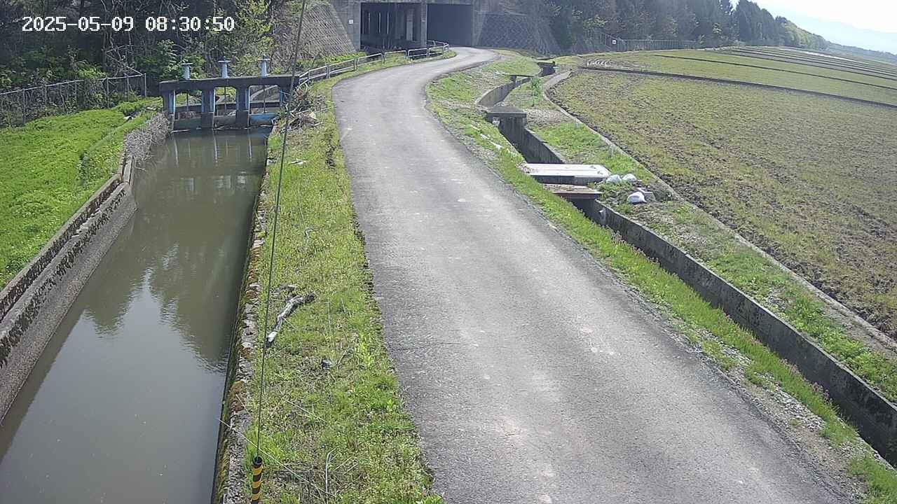 area11-20250509083052.jpg