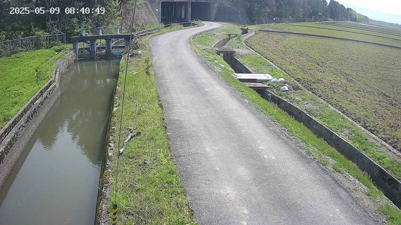 area11-20250509084050.jpg