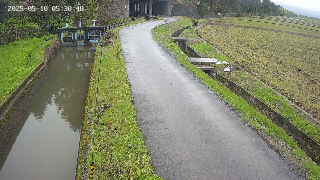 area11-20250510053050.jpg