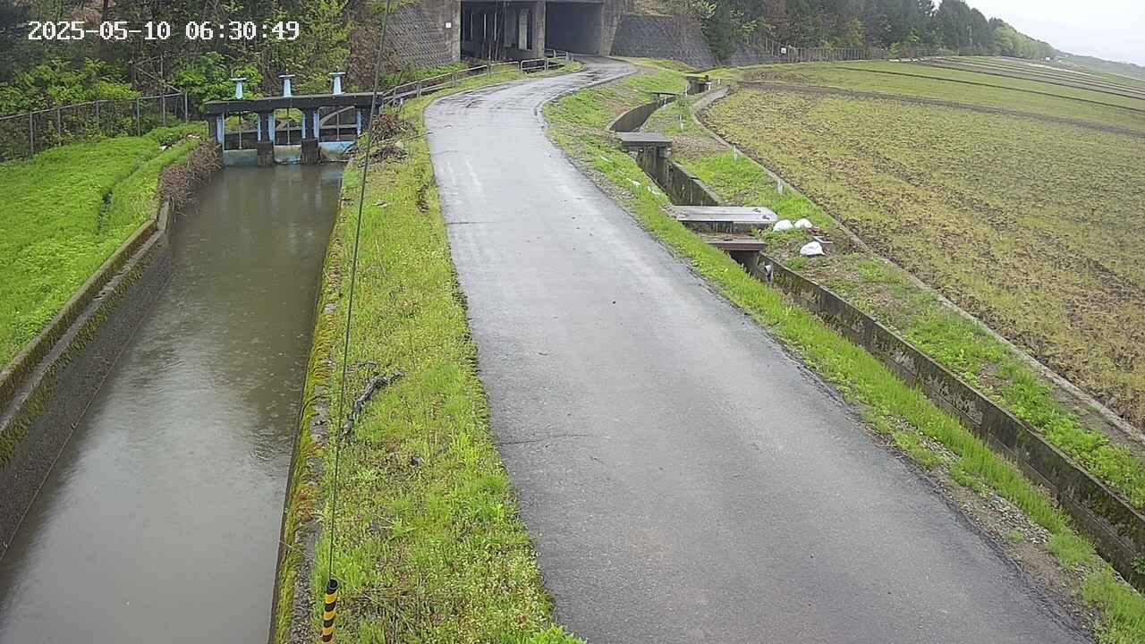 area11-20250510063051.jpg