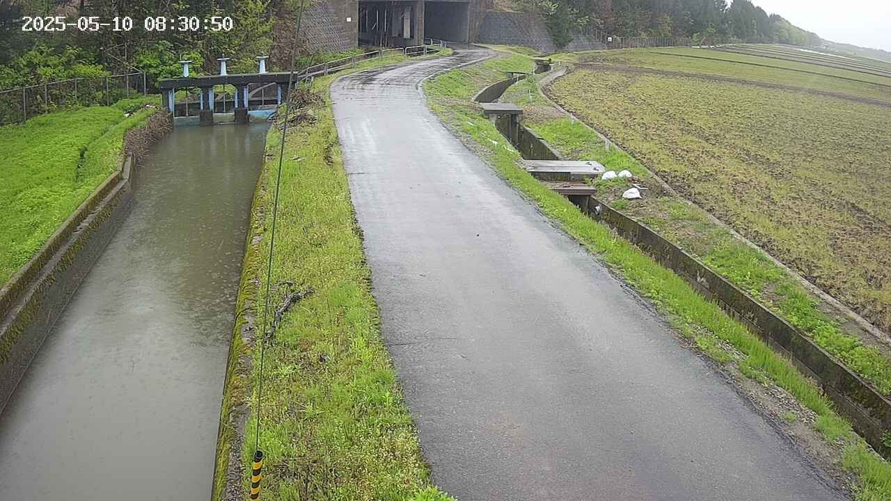 area11-20250510083051.jpg