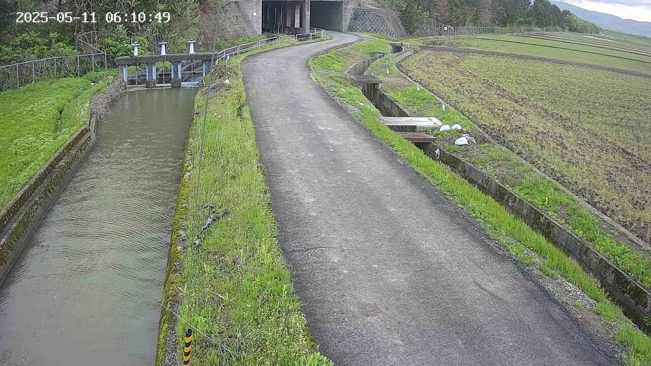 area11-20250511061051.jpg