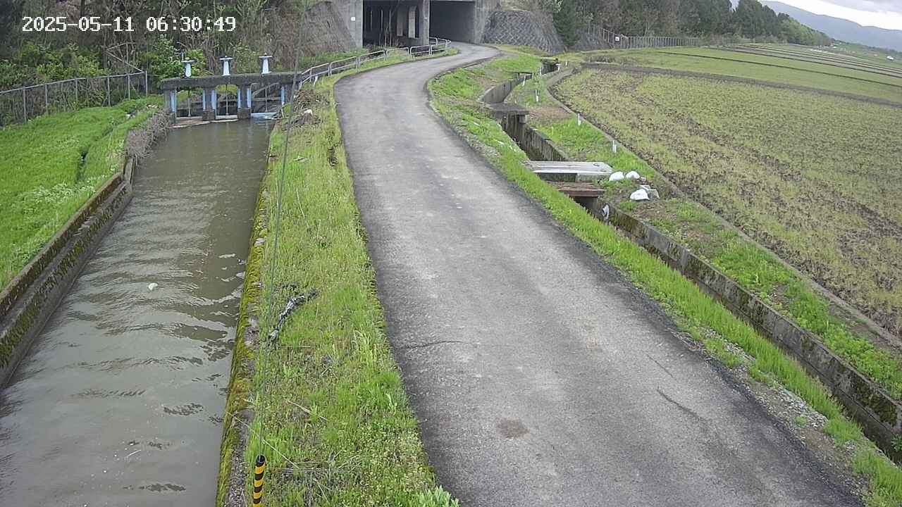 area11-20250511063051.jpg