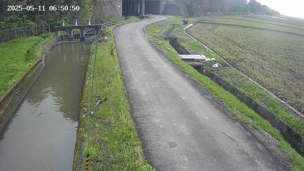 area11-20250511065052.jpg