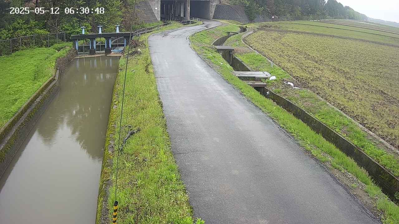 area11-20250512063050.jpg