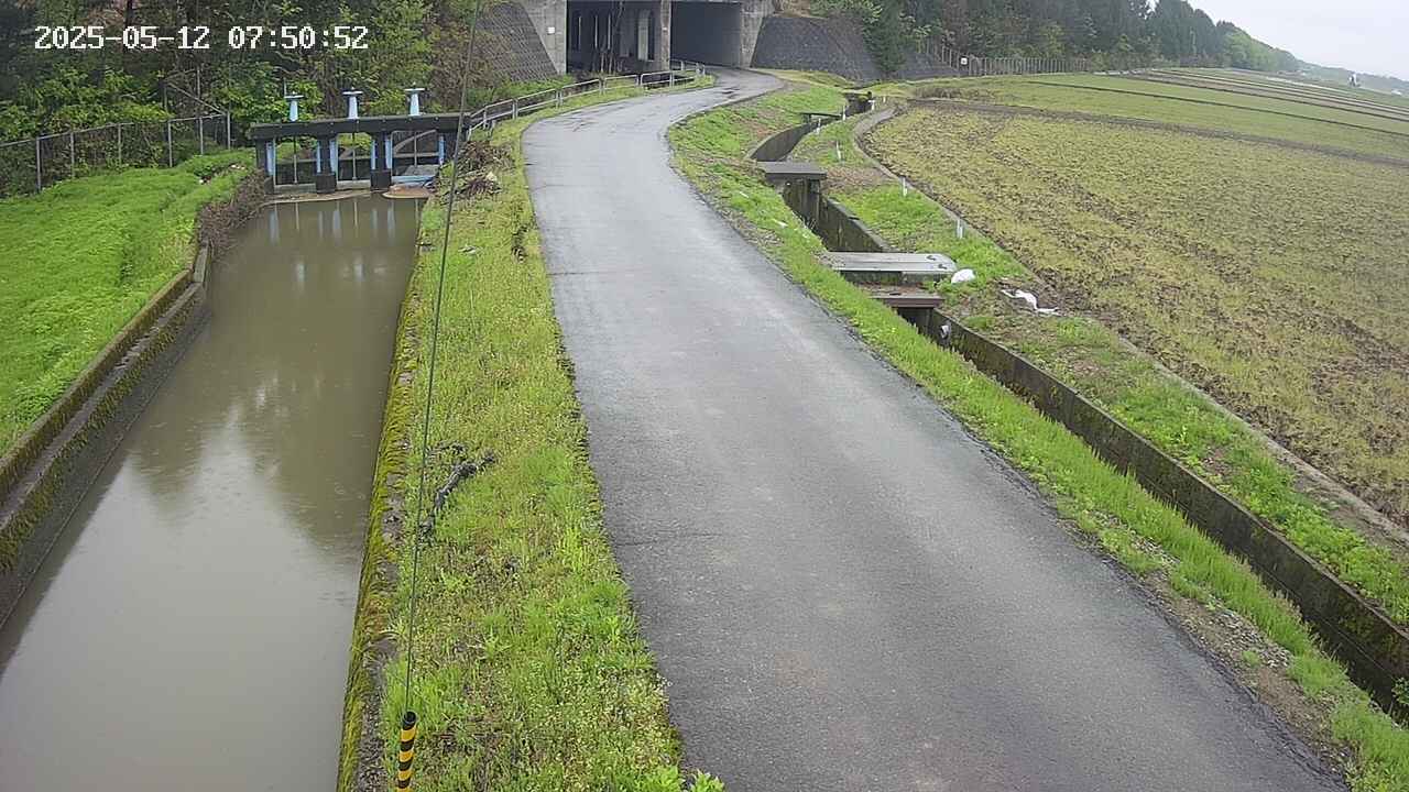 area11-20250512075055.jpg