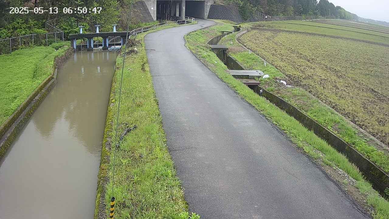 area11-20250513065049.jpg