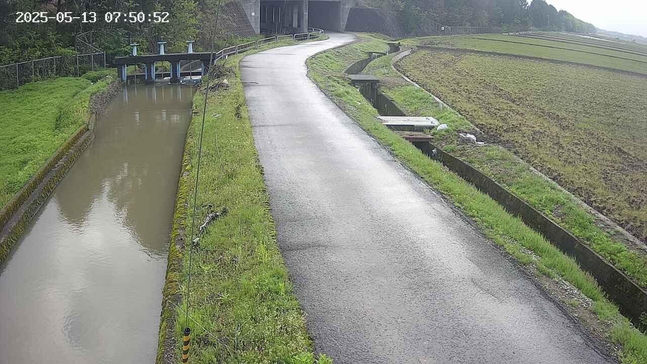area11-20250513075053.jpg