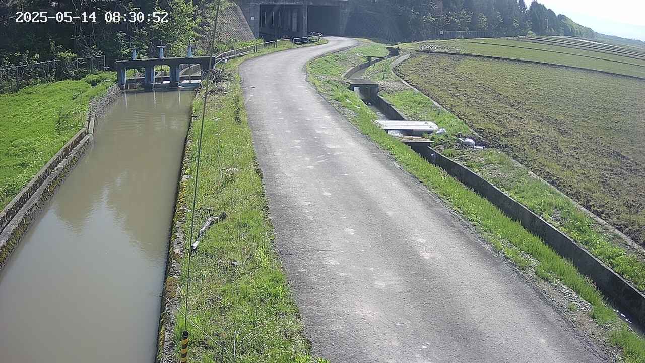 area11-20250514083052.jpg