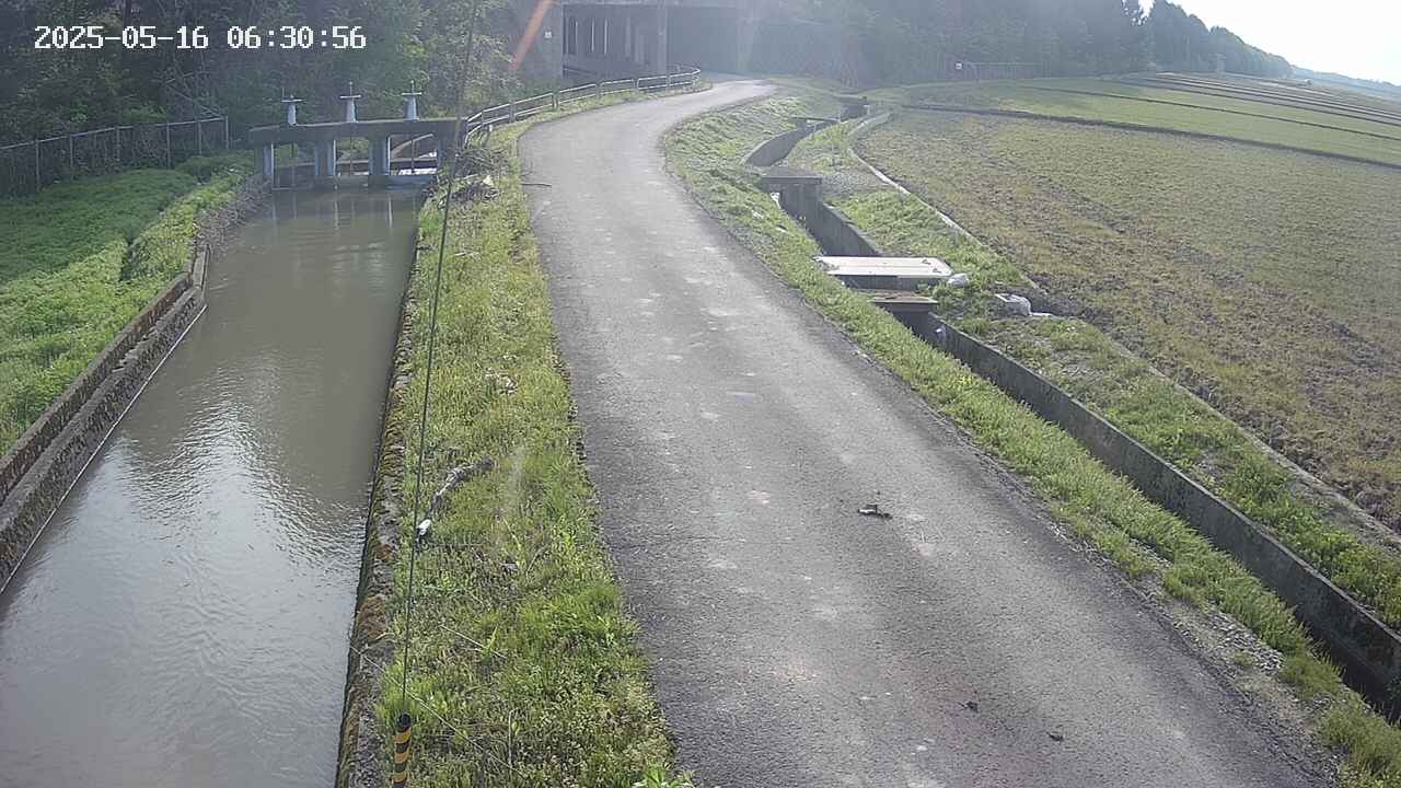 area11-20250516063057.jpg
