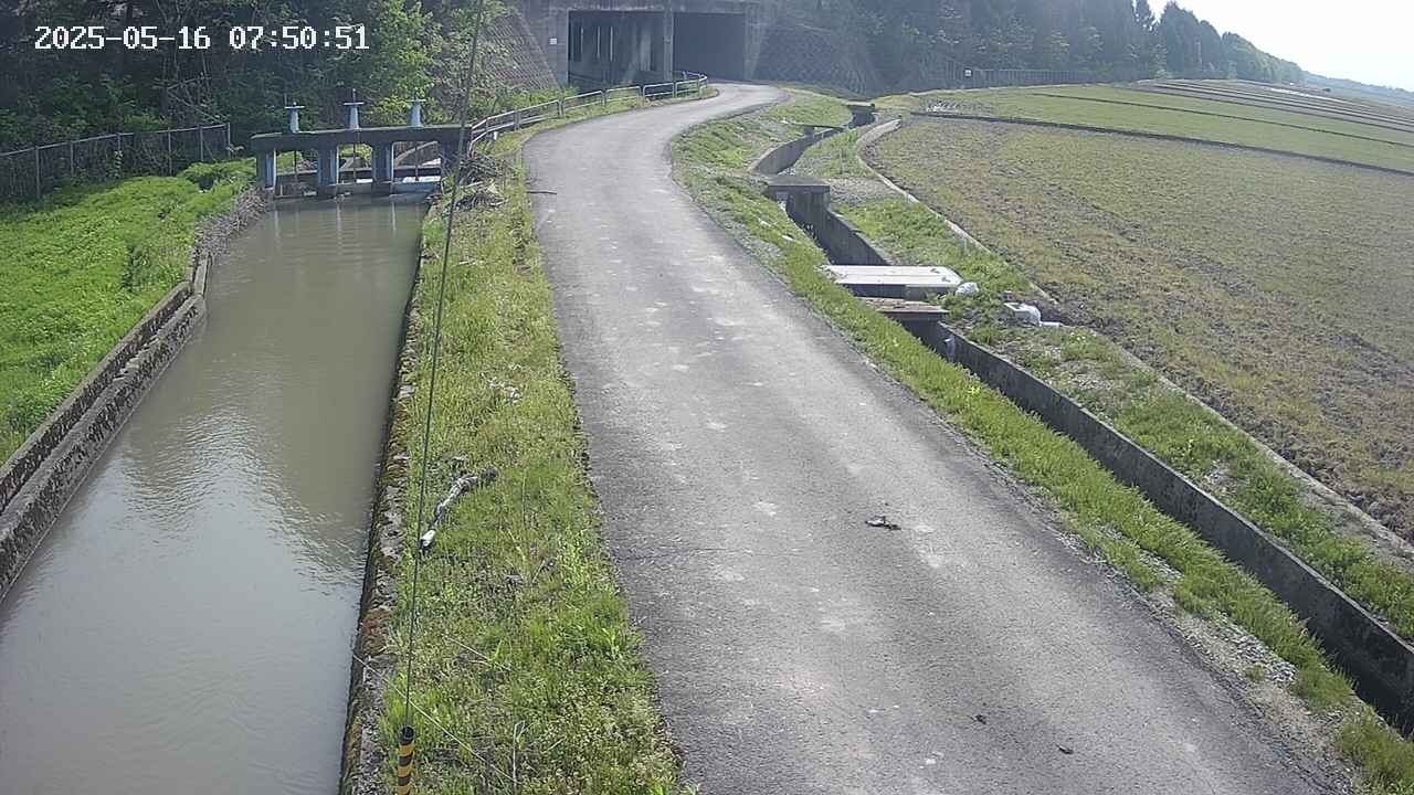 area11-20250516075052.jpg