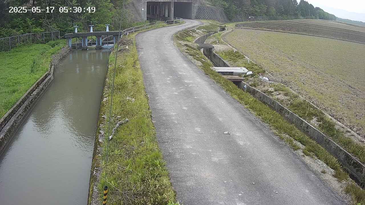area11-20250517053051.jpg
